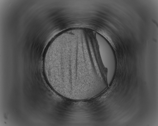 X0000093100992200710171156
