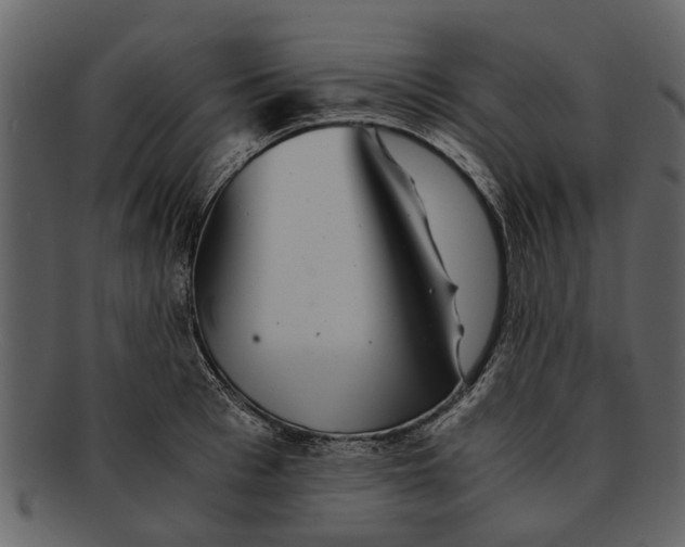 X0000093100993200710171156