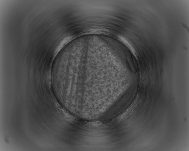 X0000093100994200710171156