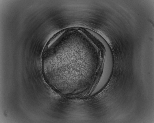 X0000093100996200710171156
