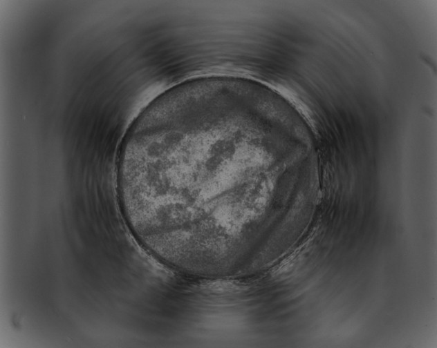 X0000093100998200710171156