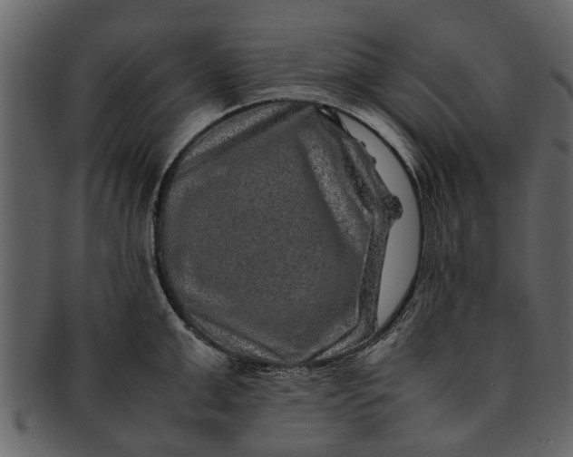 X0000093100999200710171156