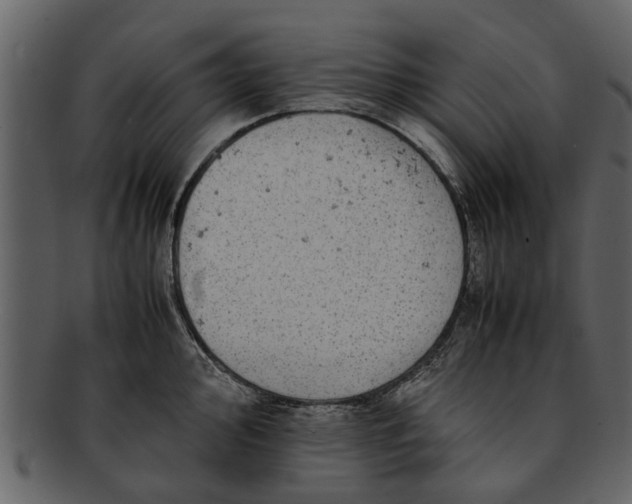 X0000093101000200710171156