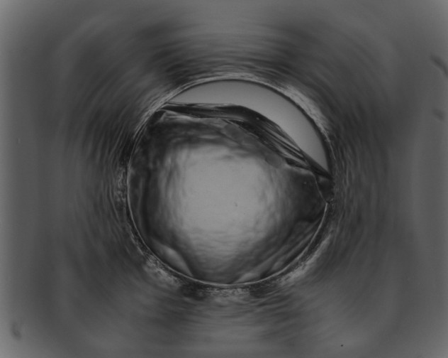 X0000093101001200710171156