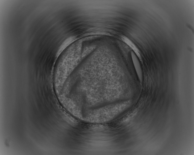 X0000093101002200710171156