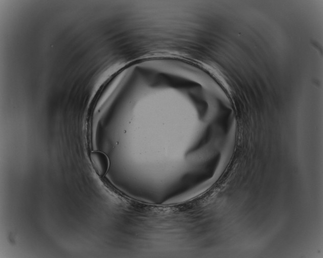 X0000093101003200710171156