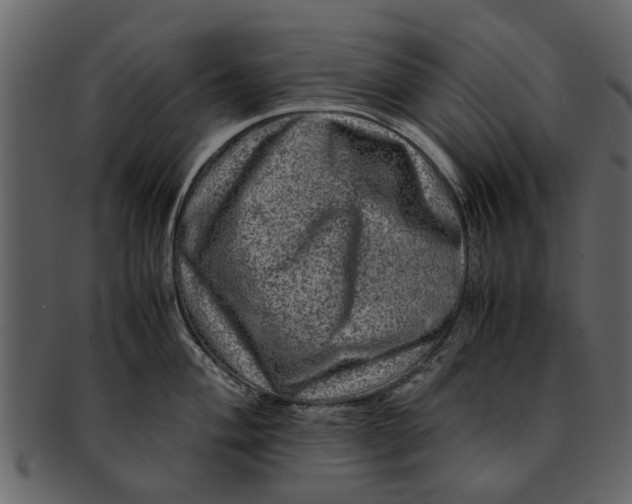 X0000093101004200710171156