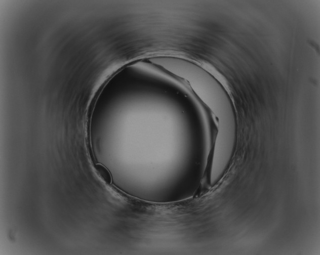 X0000093101005200710171156