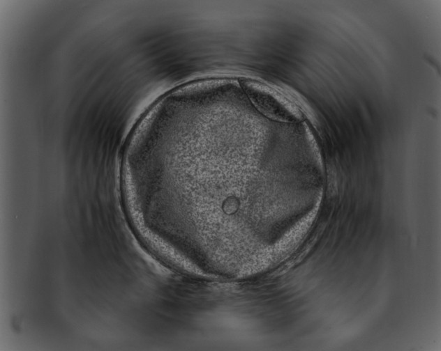 X0000093101006200710171156