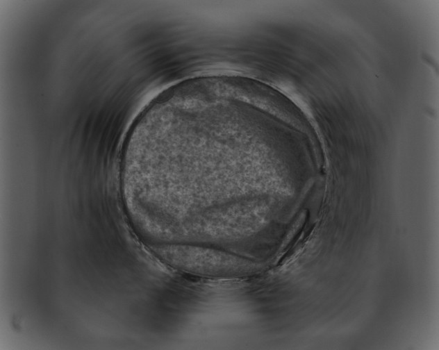 X0000093101008200710171156