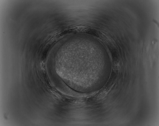 X0000093101010200710171155