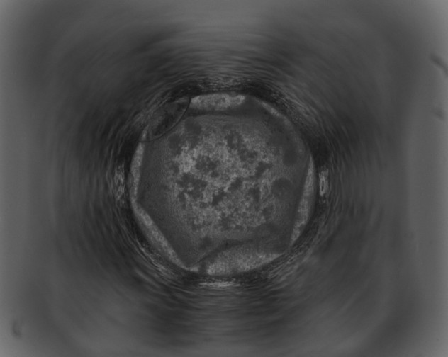 X0000093101011200710171155