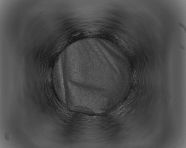 X0000093101012200710171155