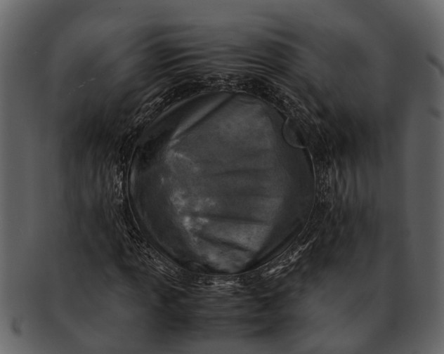 X0000093101013200710171155