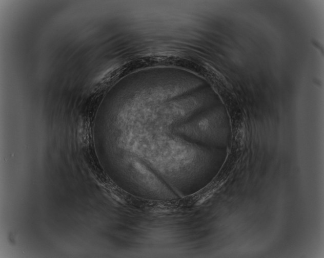 X0000093101014200710171155