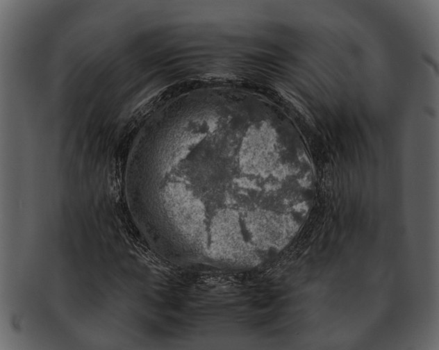 X0000093101015200710171155