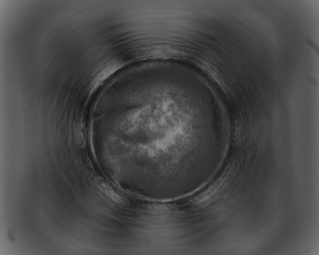 X0000093101018200710171155