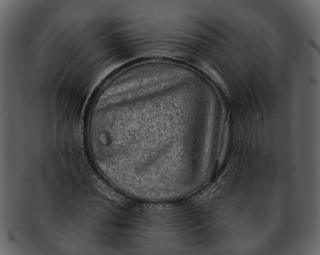 X0000093101020200710171155