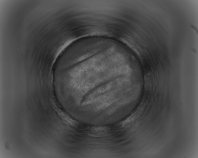 X0000093101021200710171156