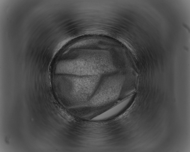 X0000093101022200710171156