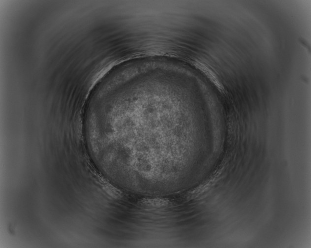 X0000093101023200710171156