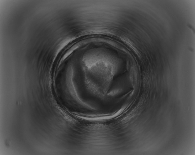 X0000093101024200710171156