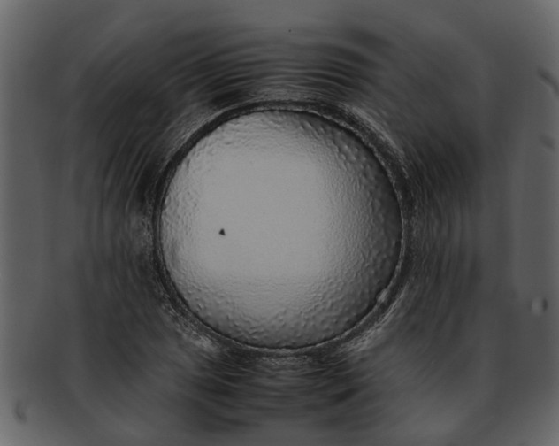 X0000093101025200710171156