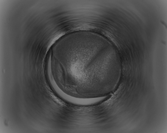 X0000093101026200710171156