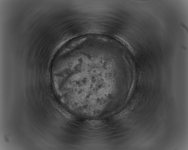 X0000093101027200710171156