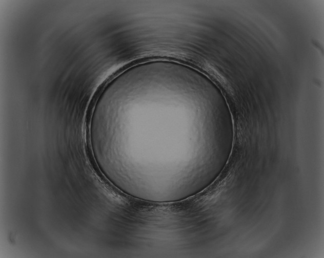 X0000093101028200710171156