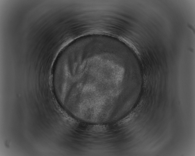 X0000093101029200710171156