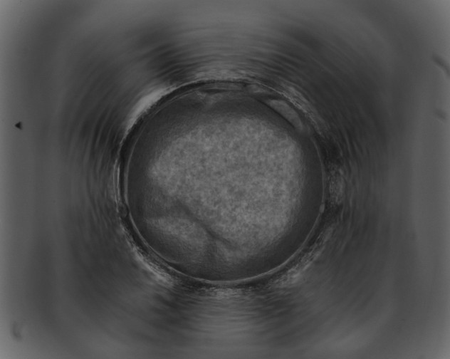 X0000093101030200710171156
