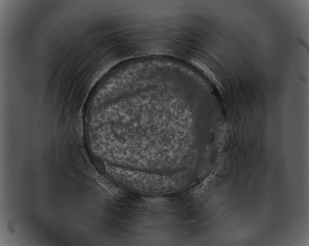 X0000093101031200710171156