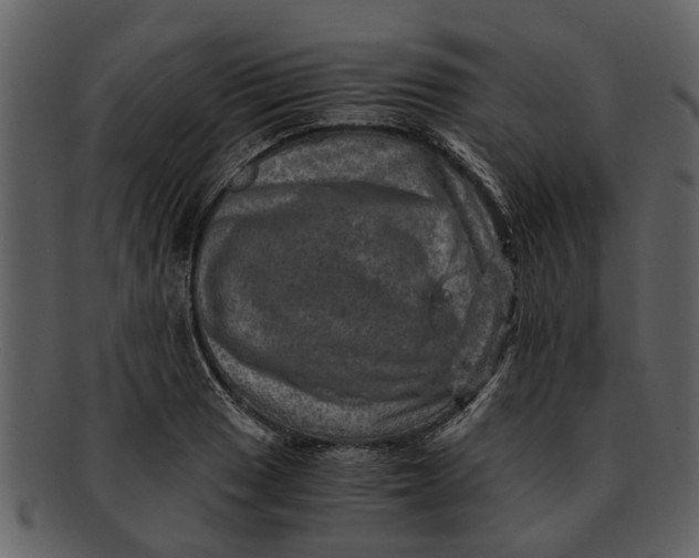 X0000093101033200710171156