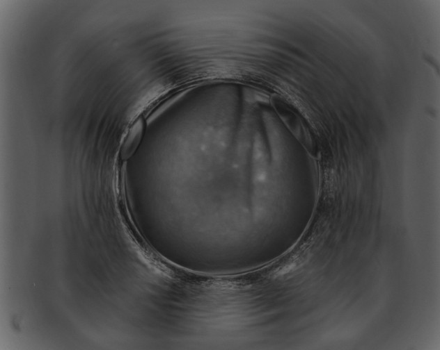 X0000093101034200710171156