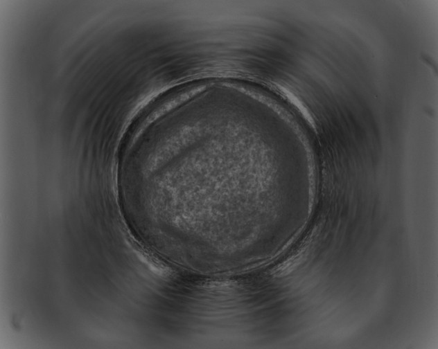 X0000093101035200710171156