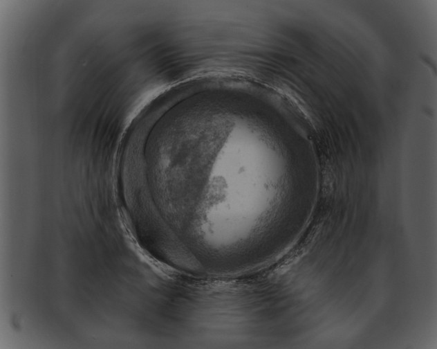 X0000093101038200710171156