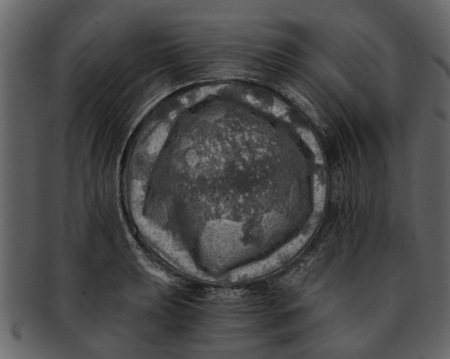 X0000093101039200710171156