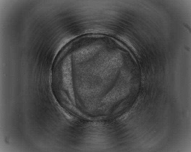 X0000093101040200710171156