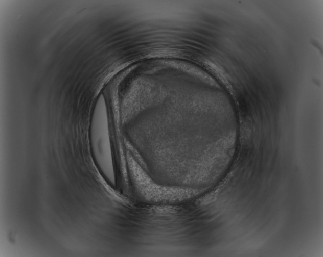 X0000093101041200710171156