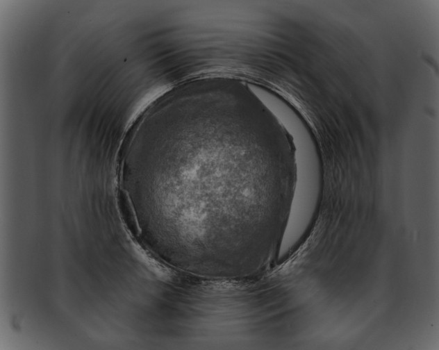 X0000093101042200710171156