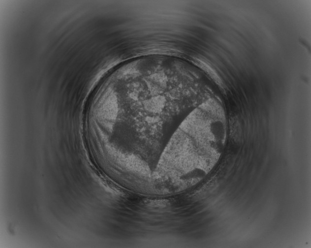 X0000093101043200710171156