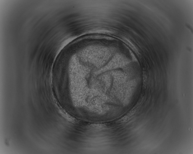X0000093101044200710171156