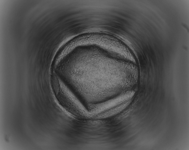 X0000093101045200710171156