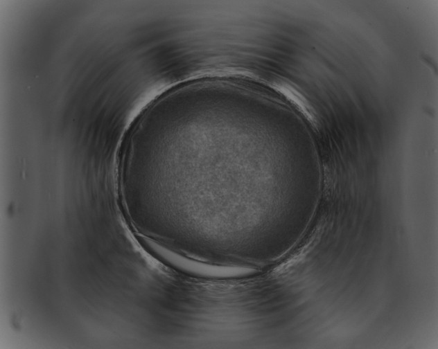 X0000093101046200710171156