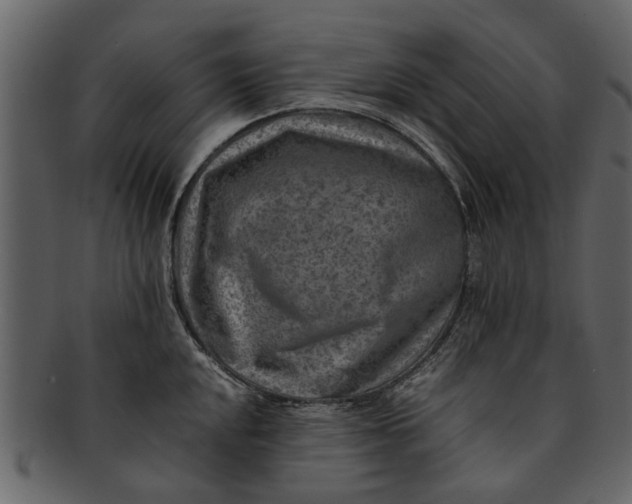 X0000093101048200710171156