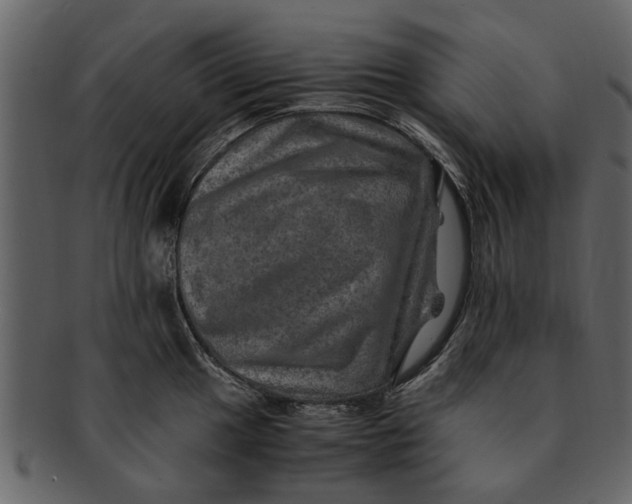 X0000093101049200710171156