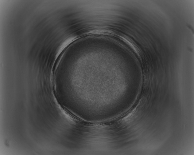 X0000093101050200710171156