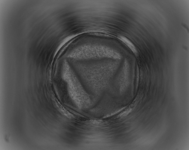 X0000093101052200710171156