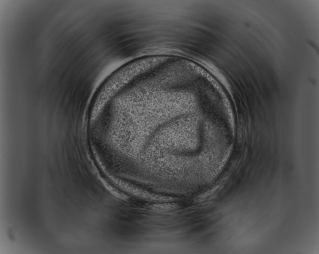 X0000093101053200710171156